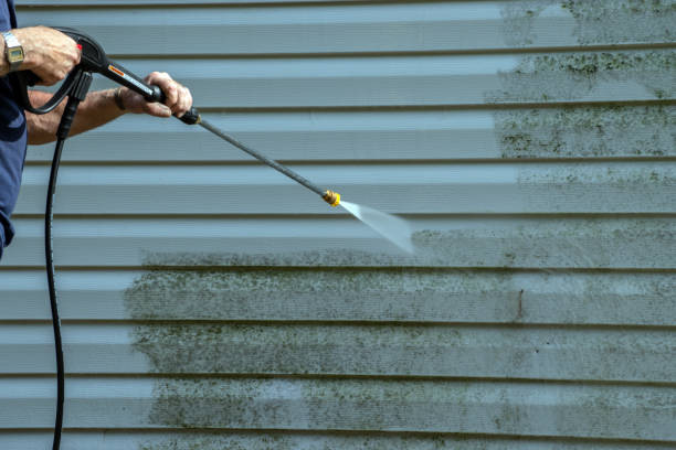 Best House Pressure Washing  in Meridianville, AL
