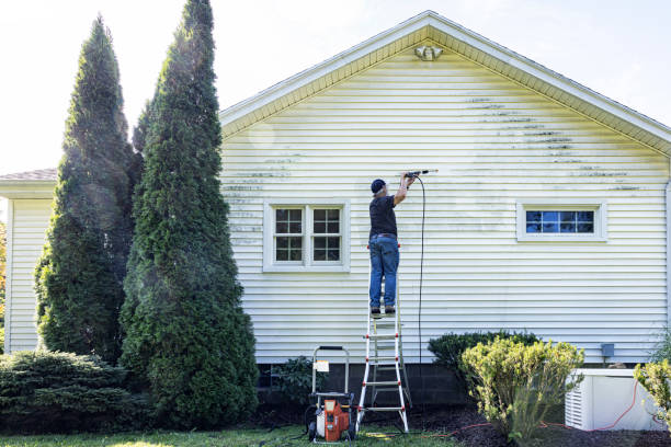 Best Exterior Home Cleaning  in Meridianville, AL